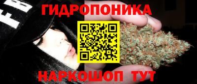 mdpv Гусь-Хрустальный