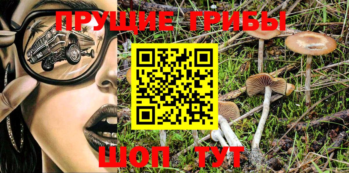 Галлюциногенные грибы MAGIC MUSHROOMS Мытищи